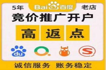深入解析sem代运营推广公司的成功策略及效果